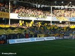 Titelbild des Albums: BSC Young Boys - Roter Stern Belgrad
28.07.2004