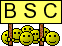 :bsc: