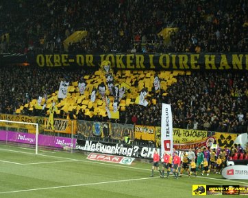 BSC Young Boys - FC Basel 07.02.2009