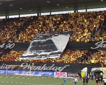 BSC Young Boys - FC Thun 09.08.2015