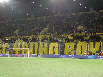 BSC Young Boys - Ludogorets Rasgrad 23.10.2025