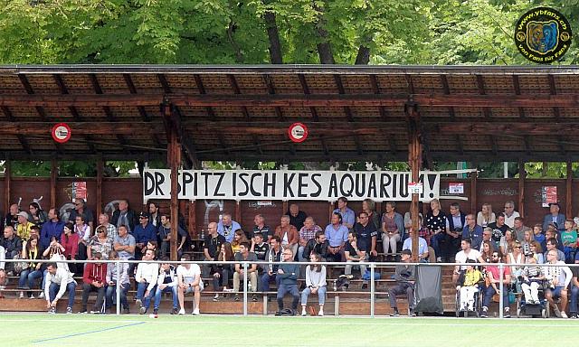 2017 08 12 fc breitenrain-yb 020