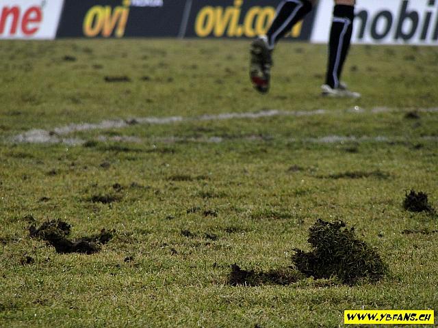 2011_02_20_fc_thun_yb_044.jpg