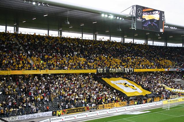 yb_grasshoppers_013.jpg