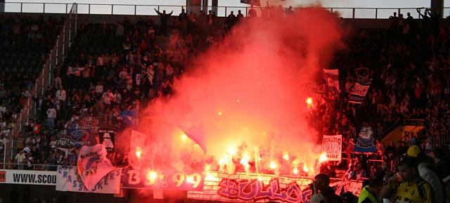 yb_grasshoppers_016.jpg