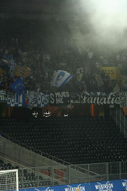 2008_05_06_yb_grasshoppers_019.jpg