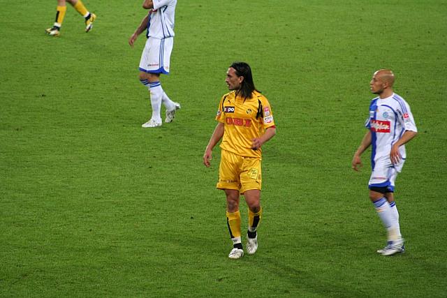 2008_05_06_yb_grasshoppers_031.jpg
