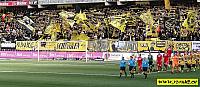 BSC Young Boys - FC Thun 26.09.2010