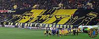 BSC Young Boys - FC Basel 01.12.2013