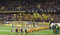 BSC Young Boys - Grashoppers Zürich 25.08.2013