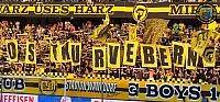 BSC Young Boys - FC Lugano 12.08.2015