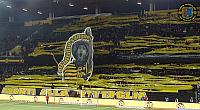2016 02 20 yb-fc thun 011
