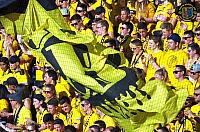 2016 08 06 yb-fc thun 035