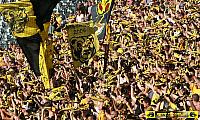 BSC Young Boys - FC Sion 23.08.2009