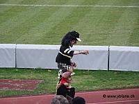 20041205_yb_zuerich_01g.jpg
