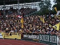 BSC Young Boys - FC Basel
15.08.2004