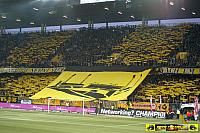 BSC Young Boys - FC Basel 16.04.2009